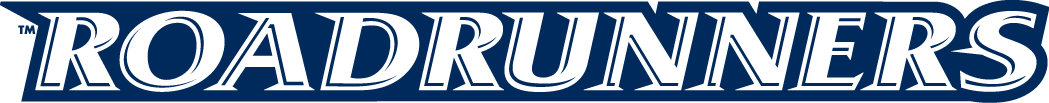 Texas-SA Roadrunners 2008-Pres Wordmark Logo v5 iron on transfers for clothing